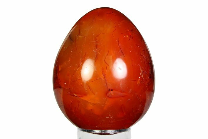 Vibrant Polished Carnelian Agate Egg - Madagascar #355483